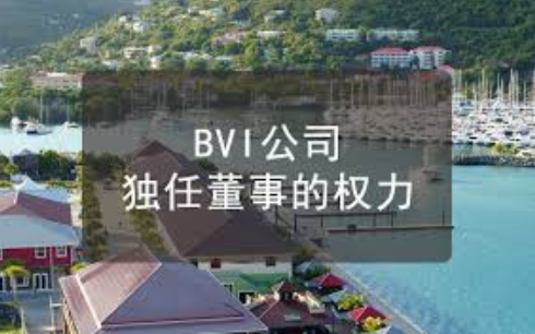 BVI公司獨(dú)任董事的權(quán)力