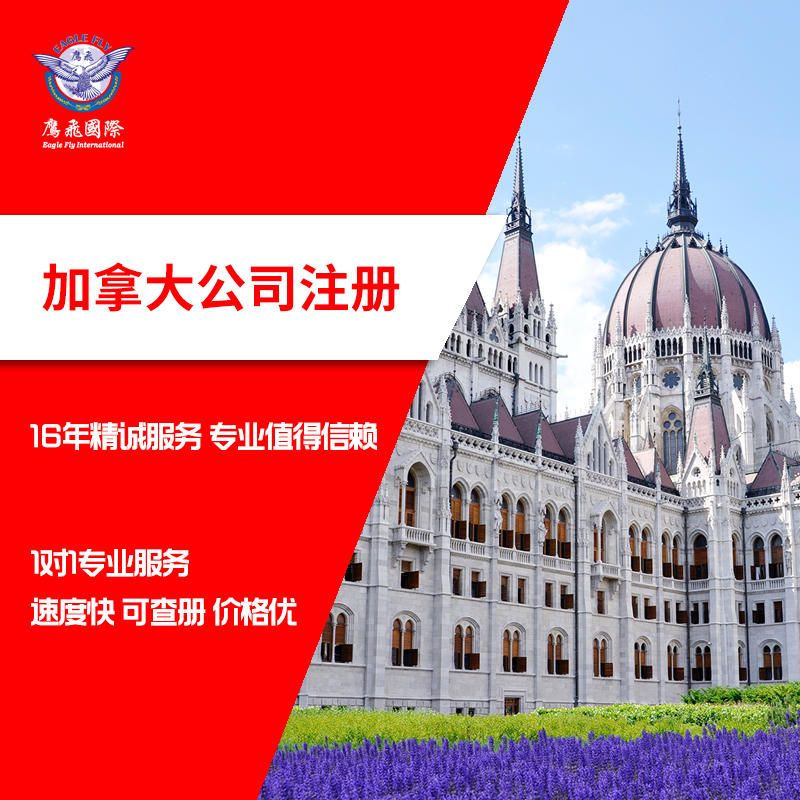 想要在加拿大做生意注冊哪種公司形式好？