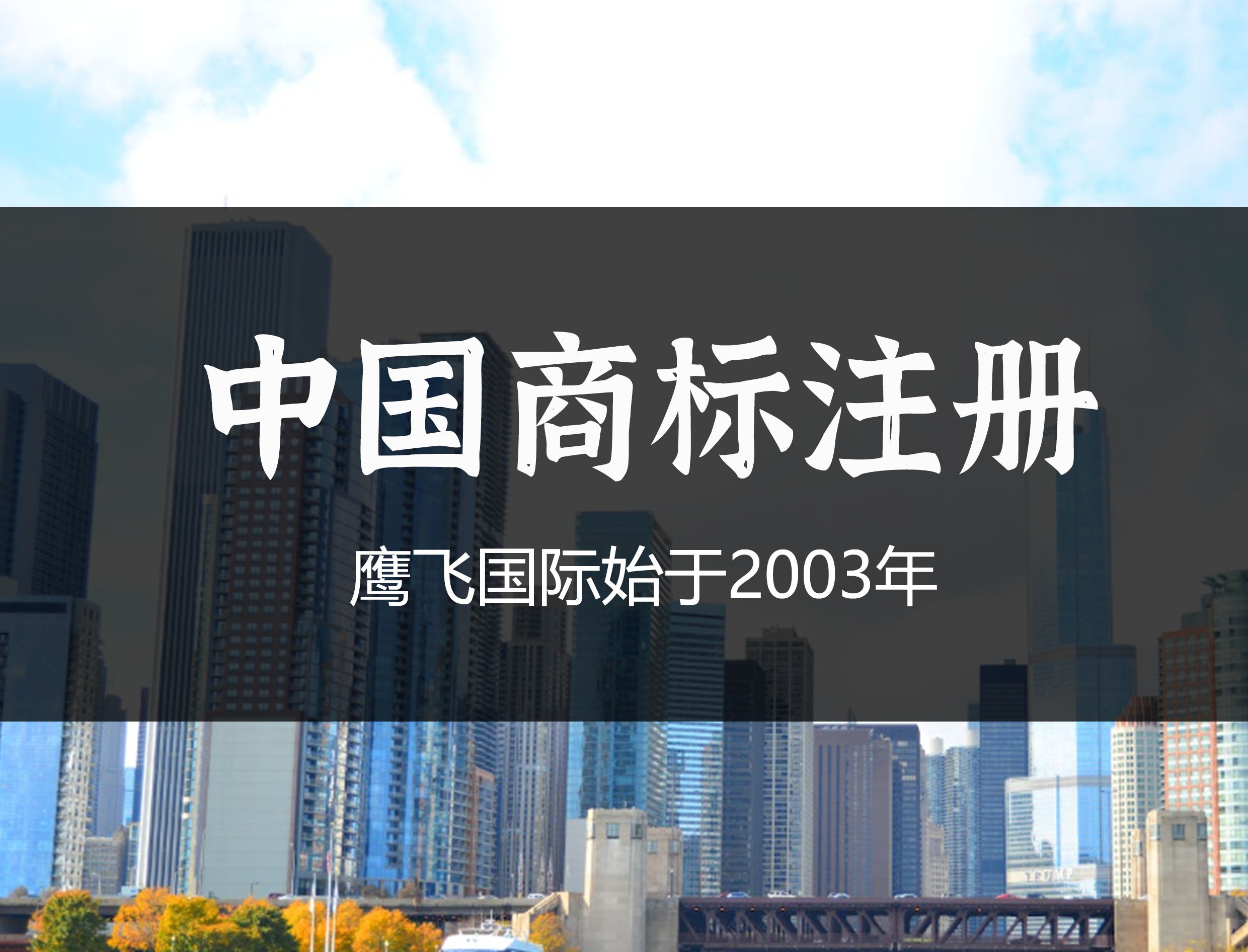 中國商標(biāo)注冊查詢?nèi)肟诩笆褂弥改希?鷹飛國際