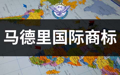 對比單一國家注冊，馬德里商標注冊的成本優勢有多大？